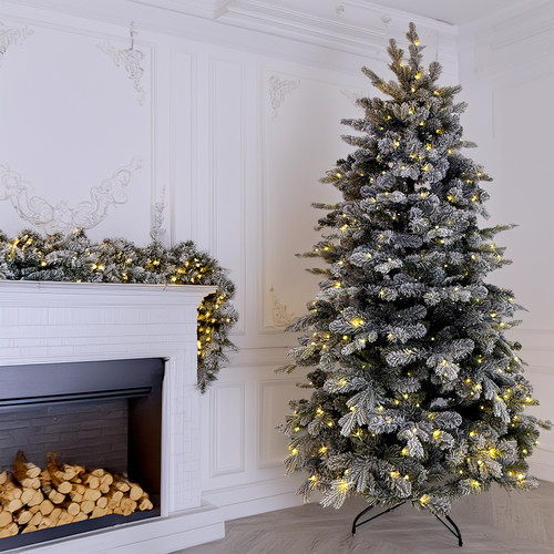 Lotti albero natale - albero,
