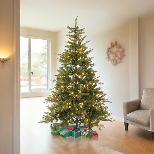 Lotti albero natale - lotti, abete