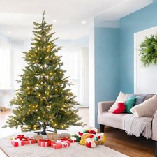 Lotti Importex Albero di