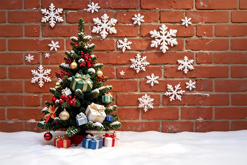 Fiocco neve natale - fiocco,