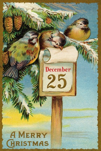 Insegna uccellini natale - insegna,